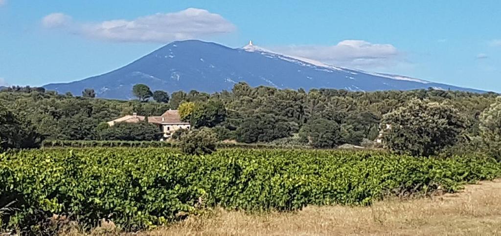 Le Clos Saint Saourde Beaumes-de-Venise Buitenkant foto